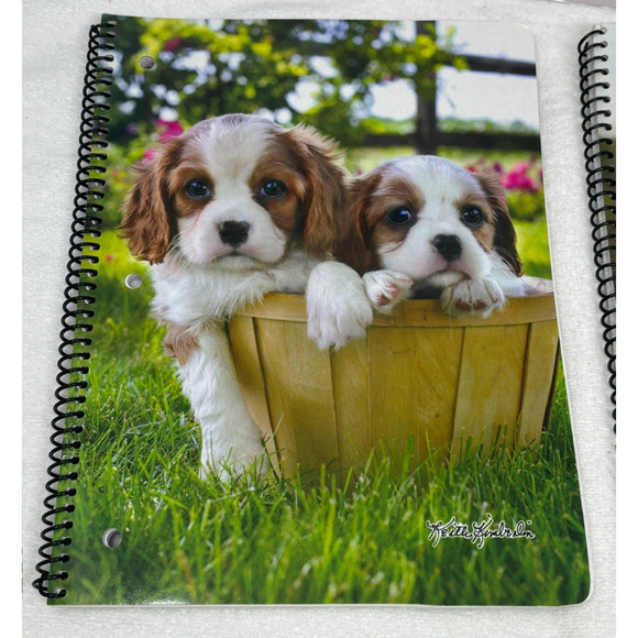 Keith Kimberlin 1" 3-Ring Binder & Spiral Notebook Kitten Playing Yarn Puppies - Picture 2 of 12
